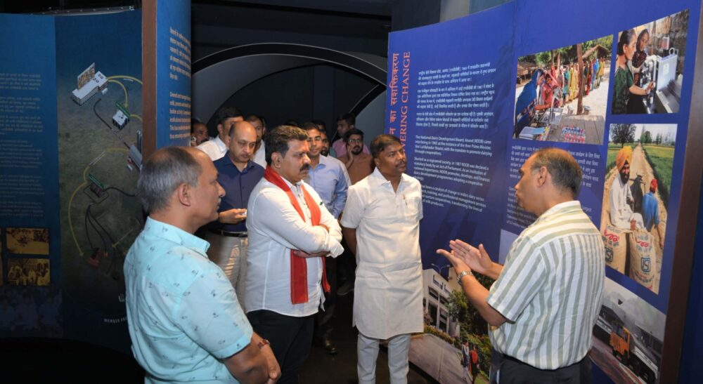 Dairy Reform In Chhattisgarh : CG के डेयरी सेक्टर में व्यापक सुधार, किसानों को मिल रहा संबल