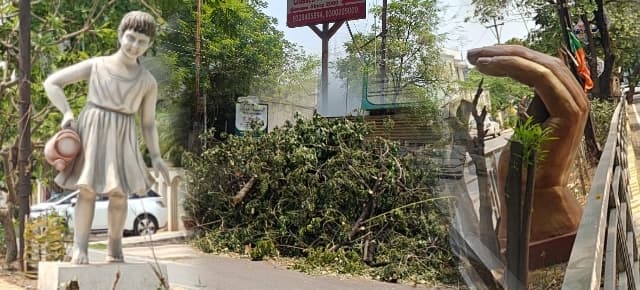 Raipur Smart City : हरियाली काटकर सेठों की कॉलोनी को सुंदर बनाने में स्मार्ट सिटी ने झोंक दिया पैसा