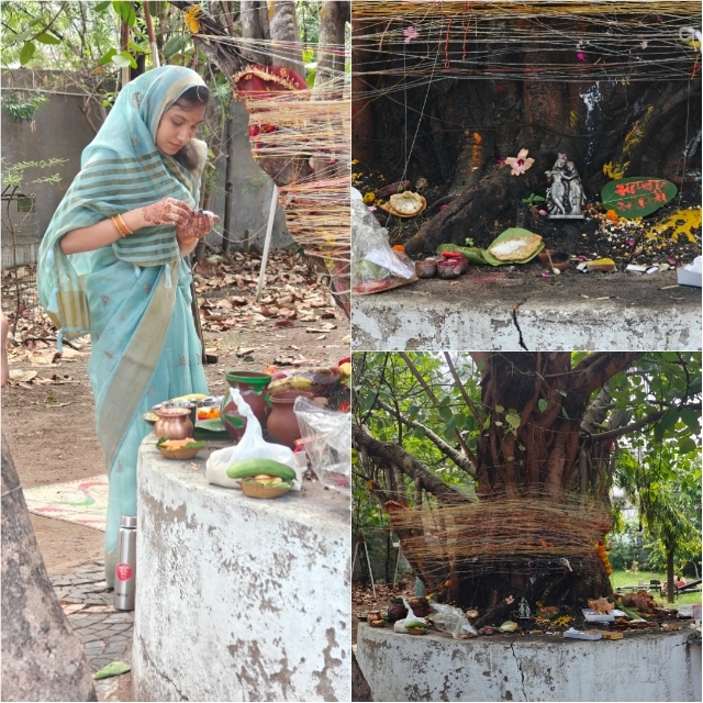 Raipur city: रायपुर में वट सावित्री व्रत. सुहागिनों ने पति की लंबी उम्र के लिए की वट वृक्ष की पूजा 