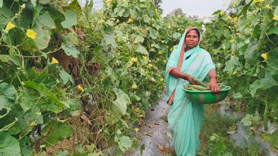 Success Story of Good Governance : 90 डिसमिल से 7 एकड़ तक का कामयाब सफर